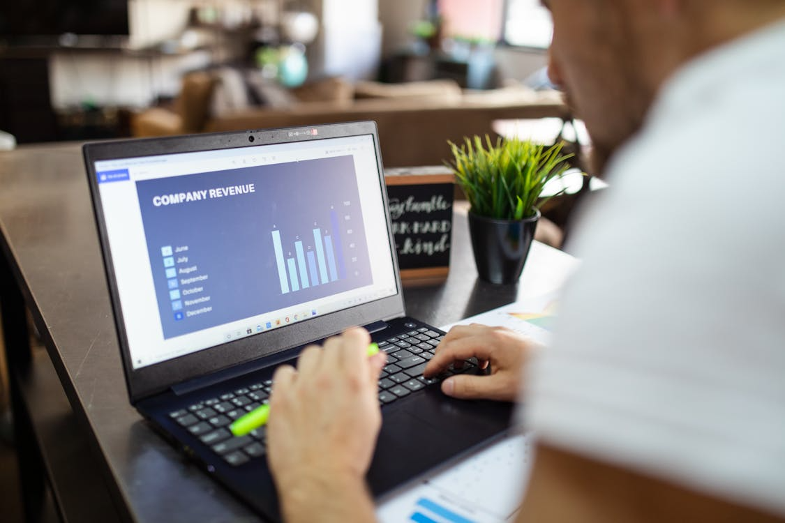 Entrepreneur reviewing company revenue data with financial systems for entrepreneurs on a laptop